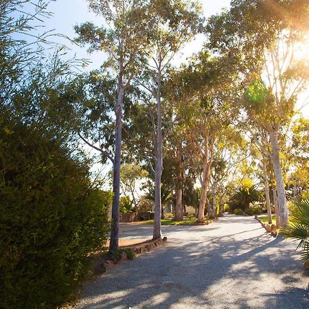 Modra'S Apartments Tumby Bay Esterno foto