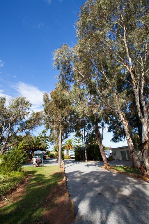 Modra'S Apartments Tumby Bay Esterno foto