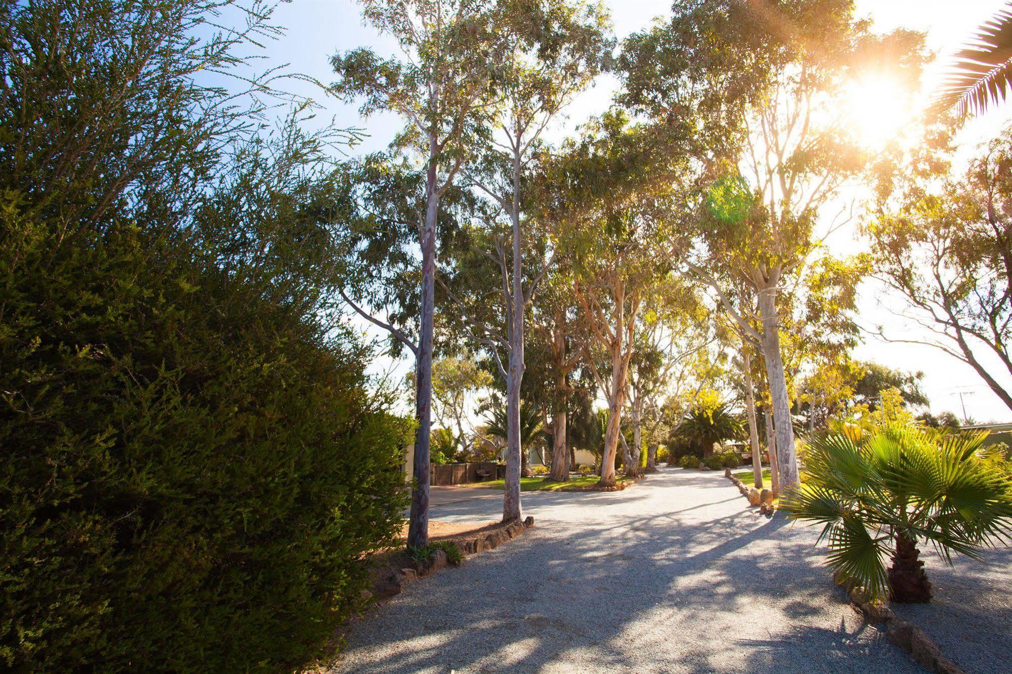 Modra'S Apartments Tumby Bay Esterno foto