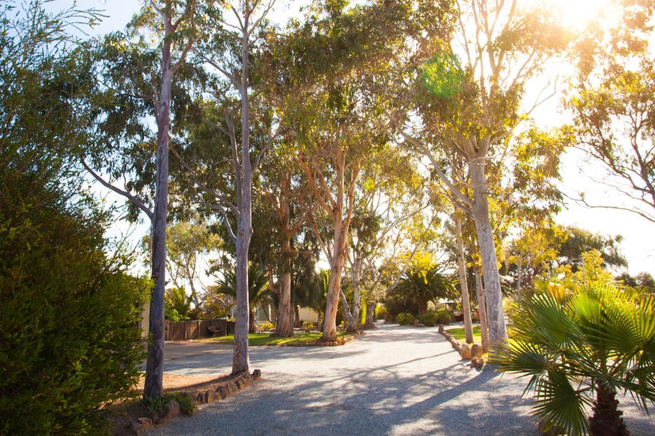 Modra'S Apartments Tumby Bay Esterno foto